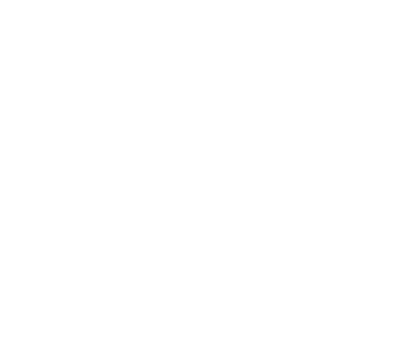 Pivora Logo